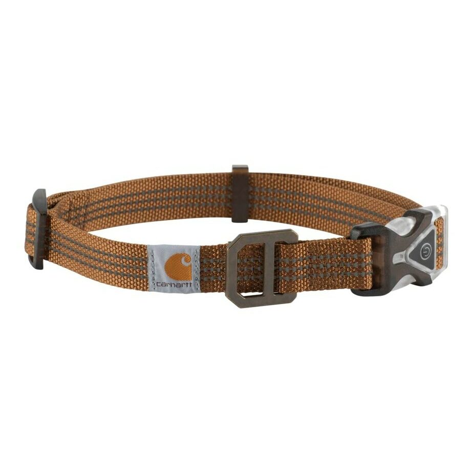 Carhartt hundhalsband med LED-ljus
